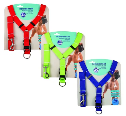 Dog Harness And Lead Set 2.5x40-60cm