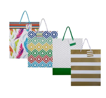 Large Everyday Gift Bag