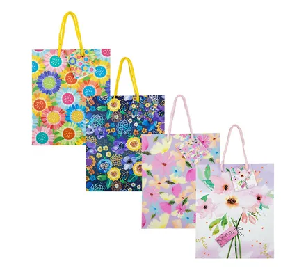 Large Everyday Gift Bag