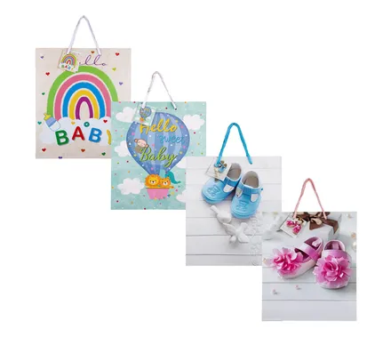 Large Everyday Gift Bag