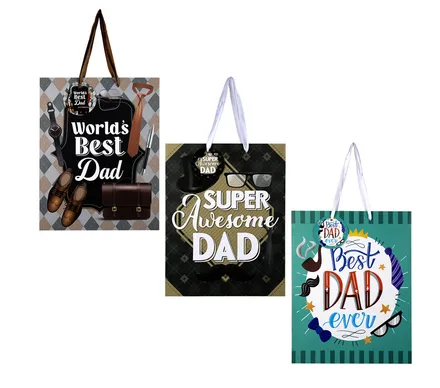 Large For Dad Gift Bag