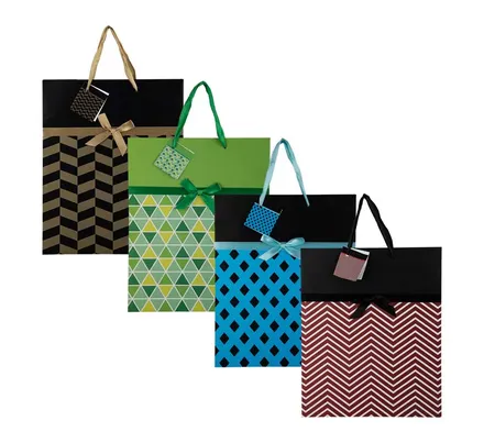 Large Designer Gift Bag