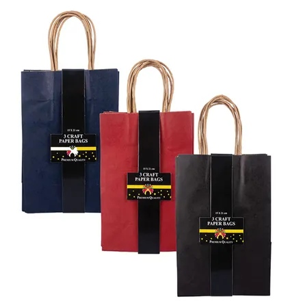 Craft Gift Bag, 3-Piece