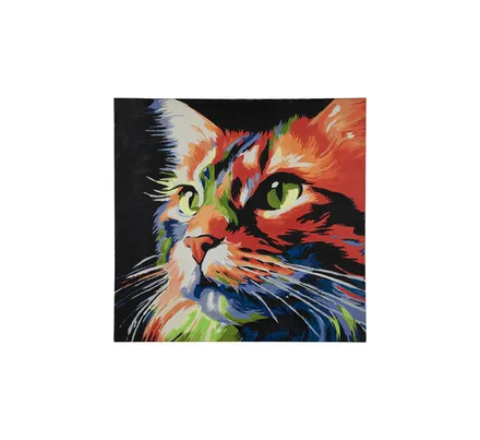 Canvas Paint-By-Number, 40 X 40cm