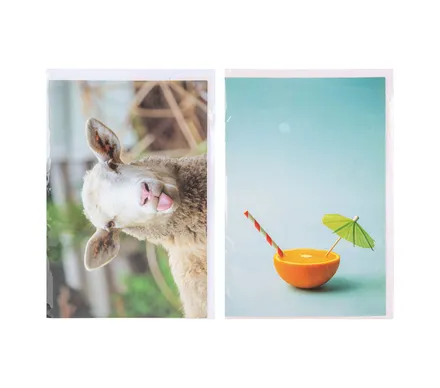 Blank Card & Envelope