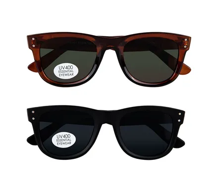 Sunglasse Modern Wayfarer