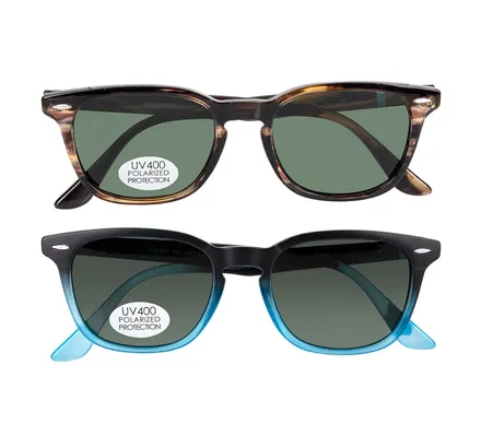 Sunglasse Classic Wayfarer