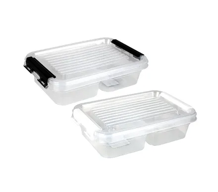 Clip Lock Container,Two Divisions,500ml