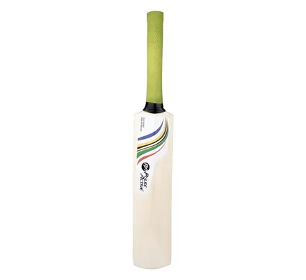 Cricket Heritage Mini Autograph Bat